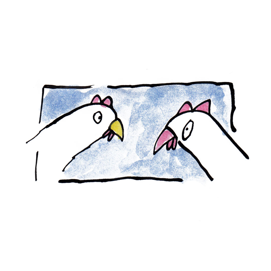 Chicken two water Color zoon van hout illustration