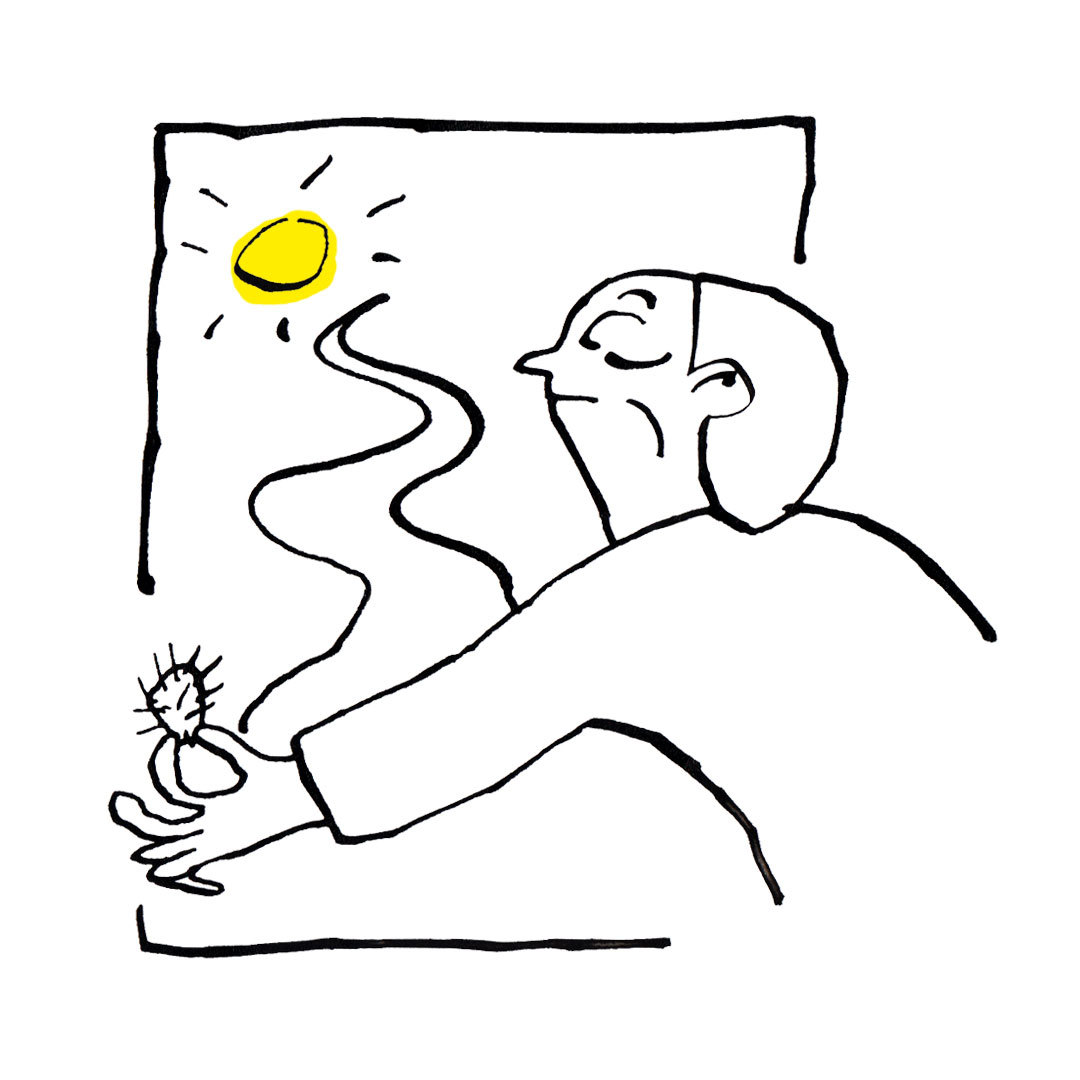 Whyrus Sun zoon van hout illustration